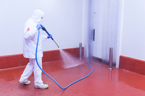 Playground Equipment Cleaning in Davis, CA
