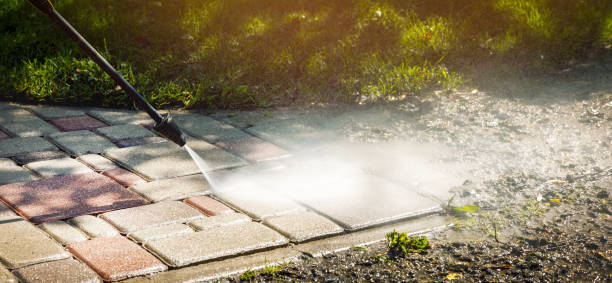 Trusted Davis, CA Pressure Washing Services Experts
