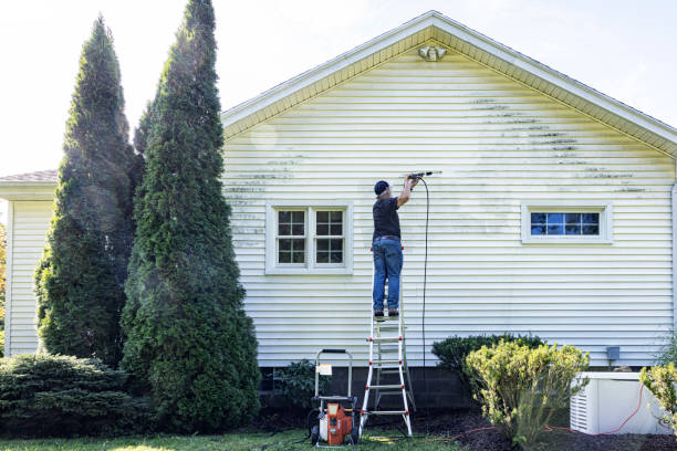 Best Gutter Cleaning  in Davis, CA